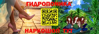 Альфа ПВП Кингисепп